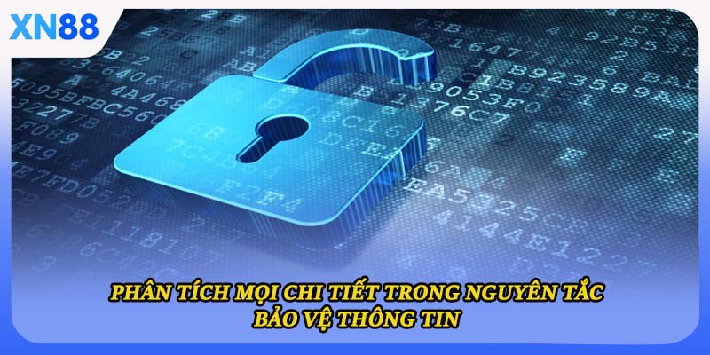 Phân tích mọi chi tiết trong nguyên tắc bảo vệ thông tin 